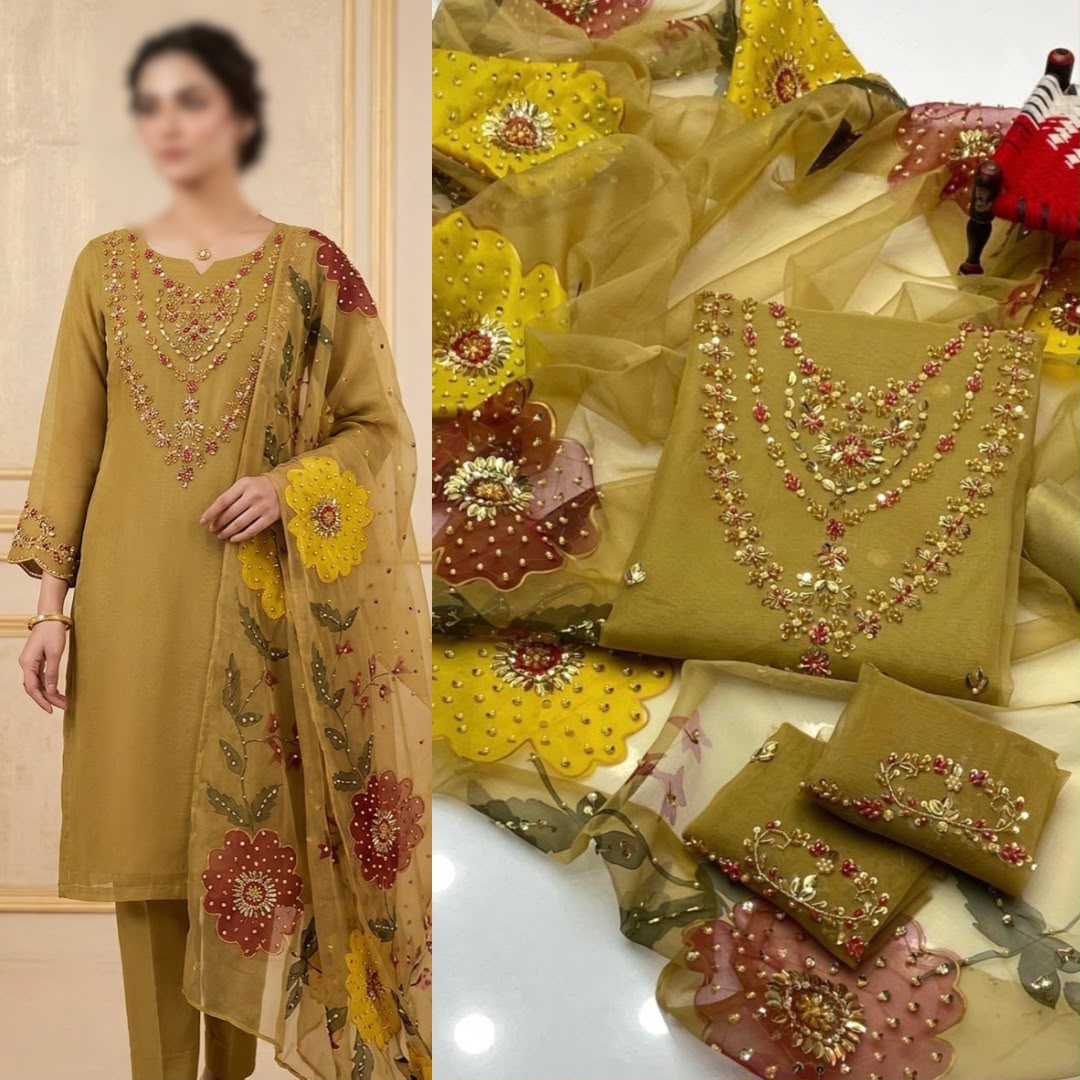 2PC Organza Handwork Suit with Stone, Beads & Oil Paint Dupatta