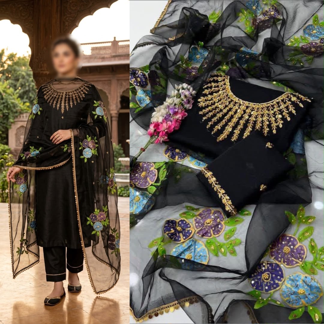 2PC Organza Handwork Suit with Stone, Beads & Oil Paint Dupatta
