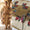 2PC Organza Handwork Suit with Stone, Beads & Oil Paint Dupatta